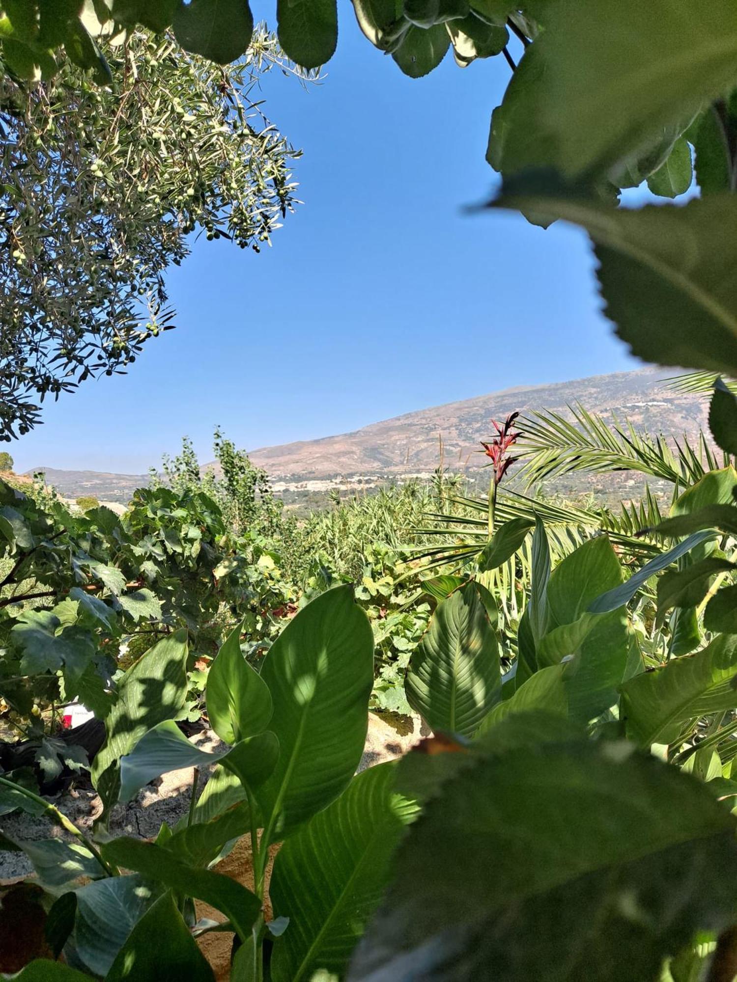 Casas Amaro Vakantiehuis Orgiva